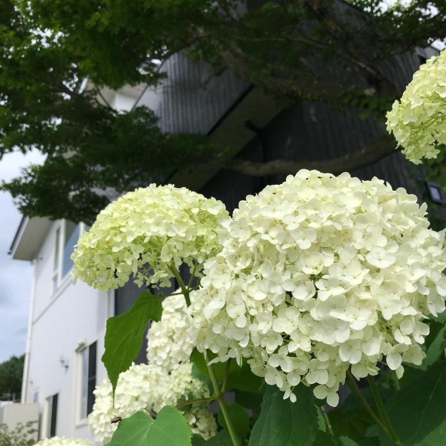 Sweet Villa Takasama فوجيوشيدا المظهر الخارجي الصورة