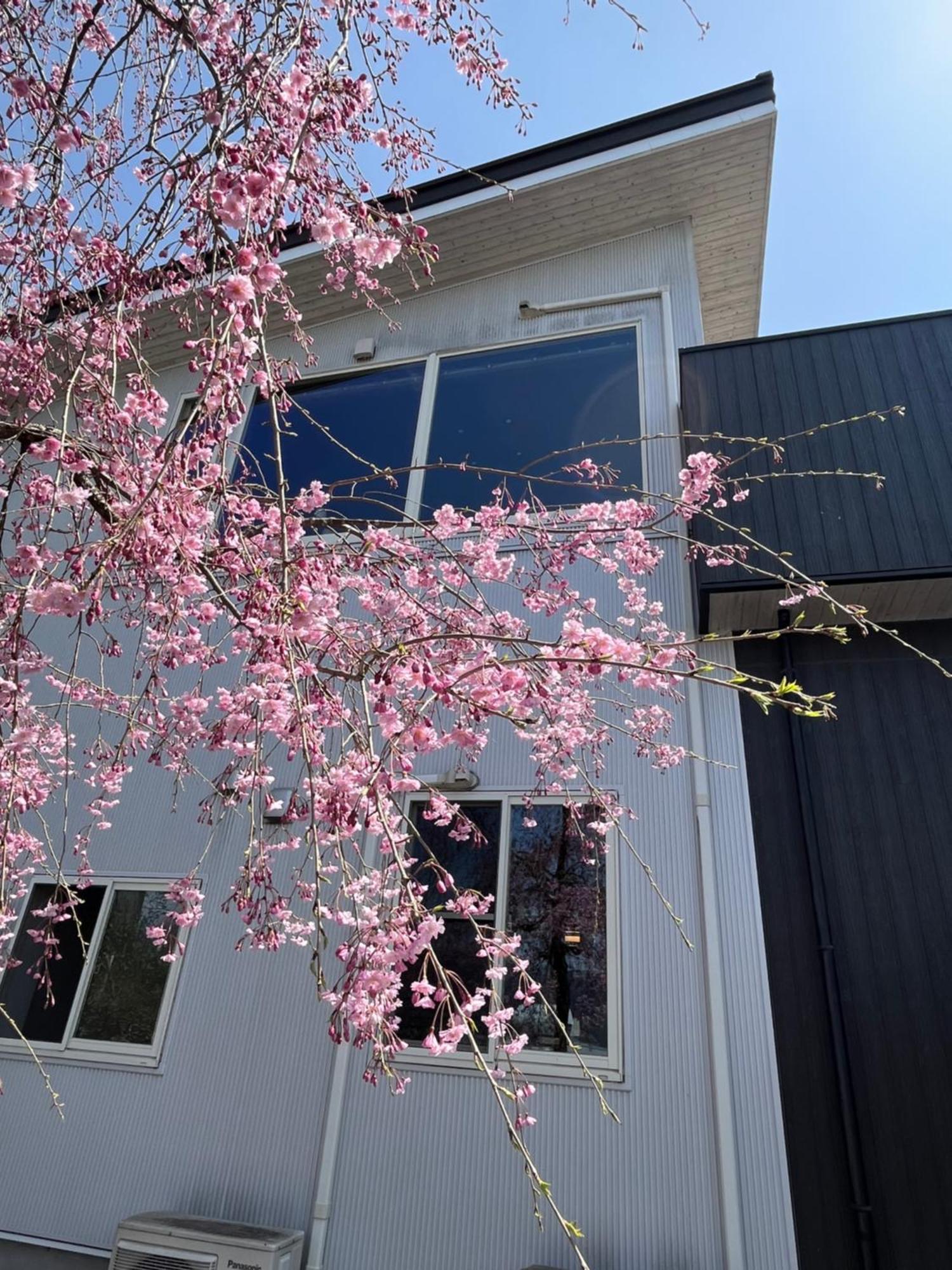 Sweet Villa Takasama فوجيوشيدا المظهر الخارجي الصورة